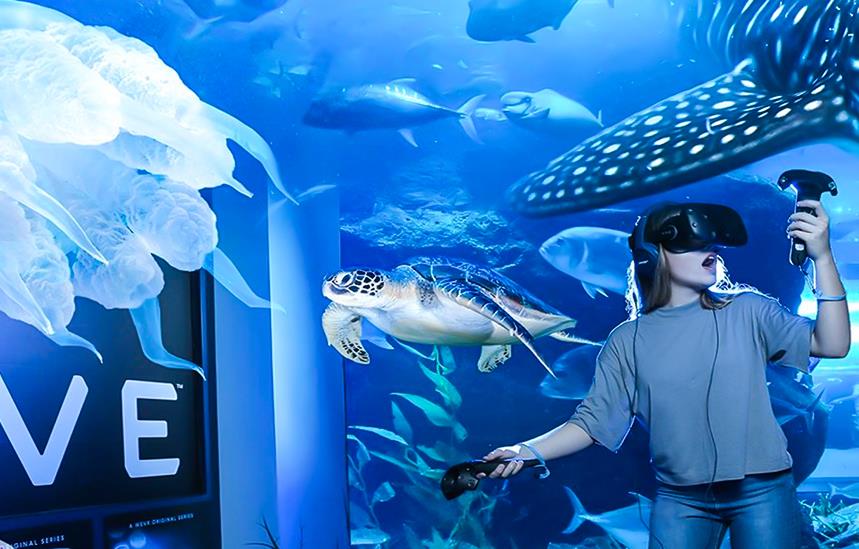 dubai underwater aquarium and zoo virtual tours
